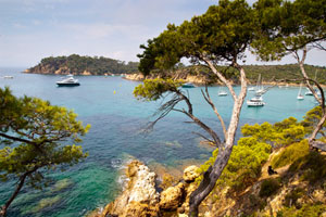 le littoral des Alpes Maritimes en Provence 