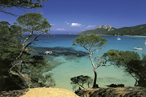 les paysages du littoral provençal 